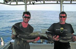A perfect pair of cobia is a great sign for the fishing to come this month.