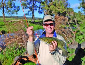 The very first fish on The Carrot was a stunning New England cod that ate a Secret Creek surface paddler.