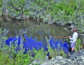 Hayden Livingstone literally stole The Carrot from me the day he first saw it. Here he fishes a lightweight spinnerbait in cod country.