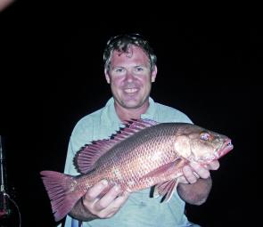 When targeting mangrove jack on live baits, place the bait in near the snags and the jack will think the livie is an injured fish swimming by and an easy target. The best live baits for jack are whiting, mullet or gar.