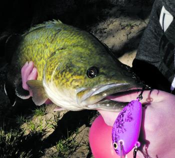 Handcrafted Aussie lures are irresistible to cod, as Hayley MacDonald found out.