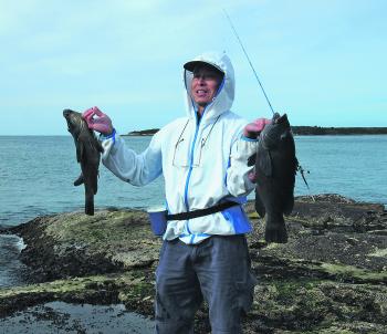 A pair of groper caught while using red crabs off the rocks at Cronulla.