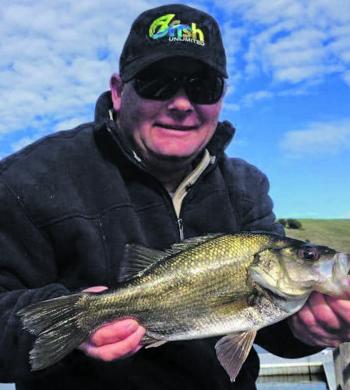 Estuary perch are on the move to the lower estuary through winter.