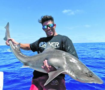 There are some monster gummy sharks about at this time of year if you’re willing to work the Western Entrance. Check out Rhodes Mackenzie’s massive gummy. (Photo supplied by Darren Hamilton Moore)