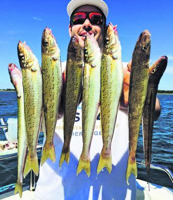 Client of Think Big Charters, Matt Johnston with a nice selection of Western Port whiting. (Photo supplied by Shaun Furtiere from Think Big Charters )