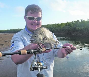 This decent bream smashed the Bevy Shad twitched off the mangrove shadows.