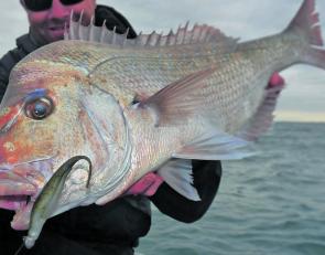 Fishing Monthly Magazines : A Beginner's Guide to Northern Moreton Bay  Pelagics