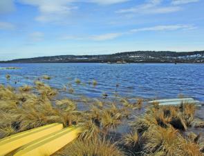 The flooded shores on the Pine – perfect spring conditions.