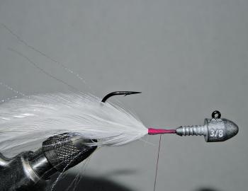 Repeat this step on the side of the hook closest to you. Again the hackle curvature should face inwards towards the other hackle. The same number of hackles should be on both sides and they should be the same length as shown.