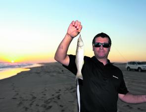 Whiting fishing along Stockton Beach has been on fire lately.