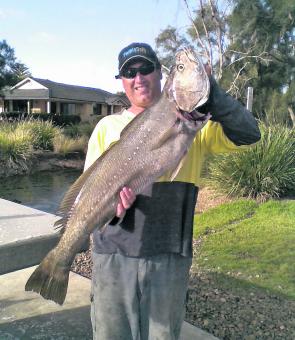 Mulloway like this should be on the prowl as the water warms. Fish around the lead-up to the full and new moon with live yellowtail, legal size tailor and, when they turn up, slimy mackerel. Jewies are caught in Newcastle Harbour and offshore through Octo