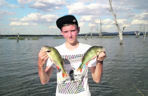 Two lovely Lake Fyans redfin caught on mudeyes under a bubble float by Daniel Hon. Photo courtesy Craig Hon.