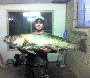 Steve Patti of Croaker Lures with a solid Clarence valley mulloway taken on a Jewie Jewel. 