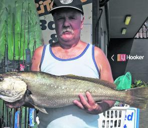 The Manning River is producing plenty of school jewfish of this size.