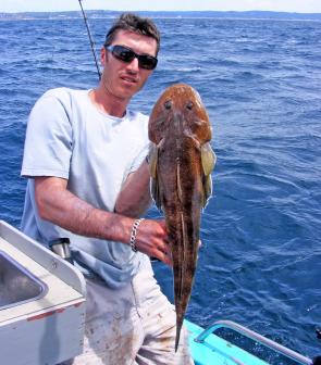 When the dreaded leatherjackets stay away, there hare some decent marbled flathead about, like this specimen caught in 80m of water.