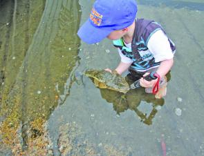 Teach your kids to handle fish correctly. Note how Clay is cradling the stomach of his flathead prior to release.