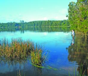 Lake Mikany is just one of the many spots to find some trout on the northwest coast. 