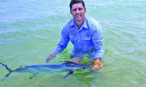 This little black marlin was caught inside Fraser Island.