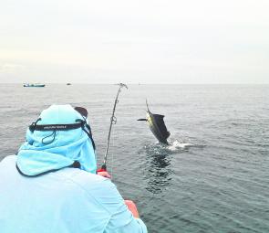 Everyone in the group was able to capture and release at least one sailfish. 