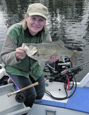 There are some very good bass in Lake Moogerah. This one was taken by Denise Kampe.