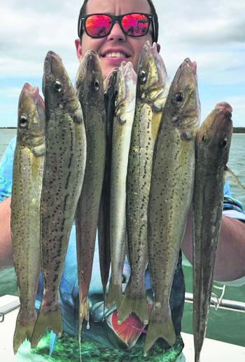 A handful of whiting is always a good time – make that two handfuls!
