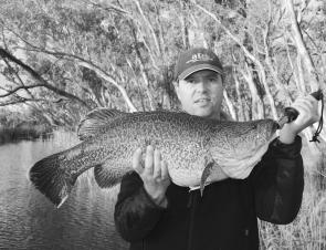 Prior to the closed season, Glenn Scoble caught this 70cm Murray cod while casting a Jackall lure in the Loddon River.