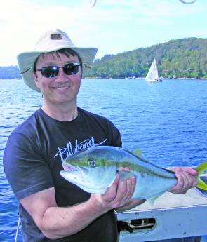 On glorious days like this, catching kingfish in Pittwater is a real bonus.
