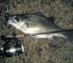 Midnight bass off the surface.