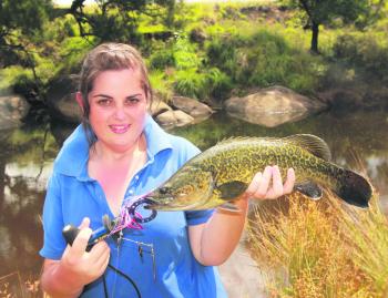 Murray cod tend to have very raspy teeth – Hayley MacDonald shows how to combat this by supporting the fish correctly.