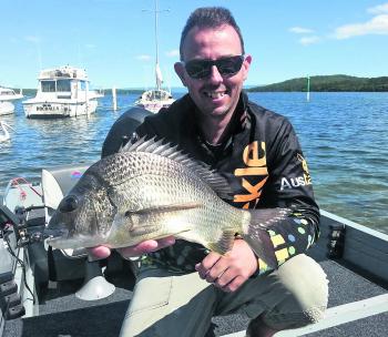 The author managed this solid 41cm bream recently fishing a deep diving Austackle lure in 2m of water.