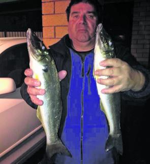 Ross caught these nice whiting with the author down at the Woronora River.