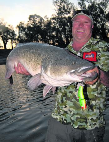 Jamie Stewart with a ripper Murray cod taken off the surface on a Koolabung Cod Cracker.