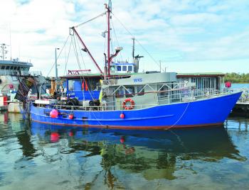 The commercial fishing industry is a big part of Lakes Entrance and a large fleet of trawlers operates from there.
