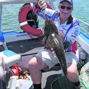 The author releases all flathead over 55cm but that’s his choice. Don’t forget to get a photo before release.