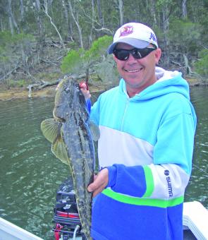 There are still plenty of flathead taking softies, especially while jigging deep water for jewfish. Ray Smith with one of many.