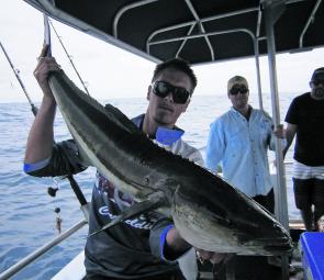 Cobia are pretty keen on floated plastics, especially the pink colours.