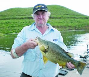 The author caught this Glenbawn golden perch on a Jackall TN60.