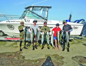 Wilsons Promontory kingfish were terrific this season.