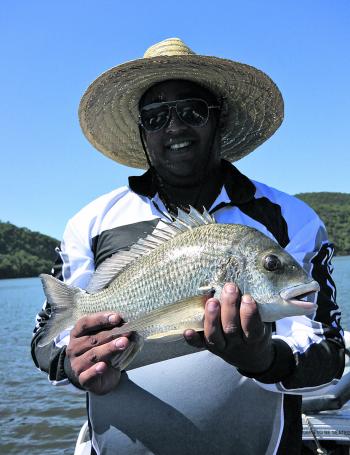 Big autumn bream are a standard attraction of the river and we will encounter plenty snaffling larger lures aimed at mulloway. 
