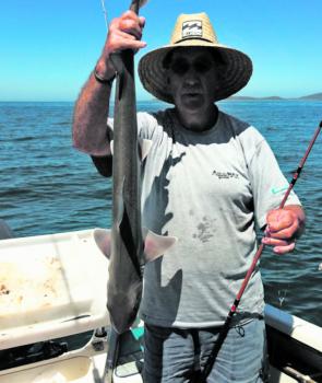 Wonthaggi angler Stan Noad with a nice gummy shark caught at Port Welshpool.