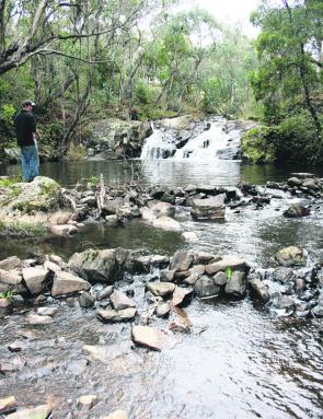 The creeks and rivers have been fishing superbly and it hasn’t taken long for the creeks rejuvenate after rain.