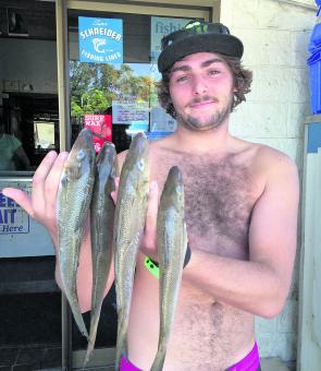 Jesh Gannon with a decent haul of tasty whiting.