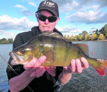 A thumping Lake Wendouree redfin caught by Kelvin Baldwin on an Eco Gear Power Shad. 