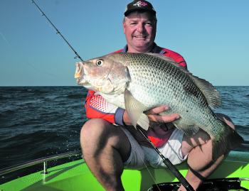 Sometimes you have to prepare for whoppers. The Samurai 20-30lb rod paired up with a Shimano Rarenium and spooled with 50 Unitika Braid is the author’s ‘elephant’ outfit.