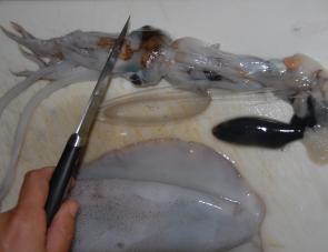 Cut the tentacles away from the main head, a little below the eyes. You may need to remove the centre section out of the cut away tentacles if you still have the beak section in it.