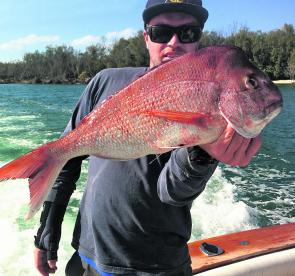 This snapper was caught on the 36 fathom line. Even though these fish can be tough to catch at times, with a bit of finesse it’s often easy to fool a few.