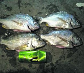 Edward Zafra caught his first bream on a TT jig head and a Berkley soft plastic.