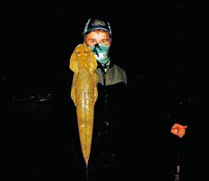 A 70cm sand flathead. Flathead like to live and feed on shallow sand flats because a lot of prey swims by, such as whiting, mullet, herring and even garfish.