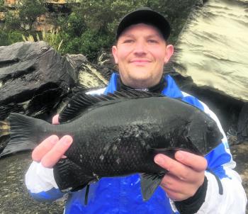Chris Rigby with his first ever pig. Fish this size and bigger can be expected this month.