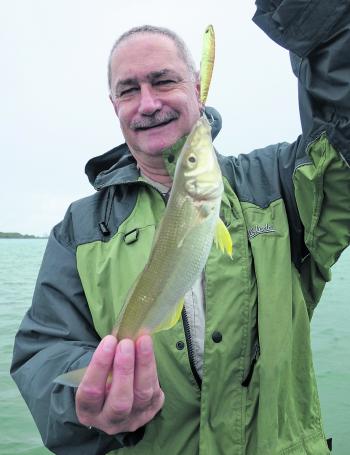 Martin Denlow with one of many whiting he caught on the Pelican Island flats.